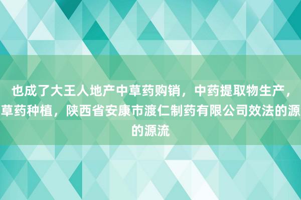 也成了大王人地产中草药购销，中药提取物生产，中草药种植，陕西省安康市渡仁制药有限公司效法的源流